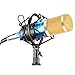 Neewer NW-800 Professional Studio Microphone Set Including NW-800 Condenser Microphone, Microphone Shock Mount, Ball-type Anti-wind Foam Cap and Microphone Power Cable (Blue)