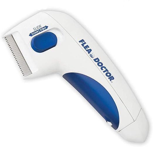 big and little dogs harnesses