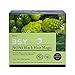 BSY NONI ORIGINAL Black Hair Magic - Hair Dye Shampoo 20ml Sachet-PACK OF 2's