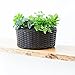 C-Hopetree Hanging Window Box - Deck Railing Planter for Outdoor Plants or Flowers