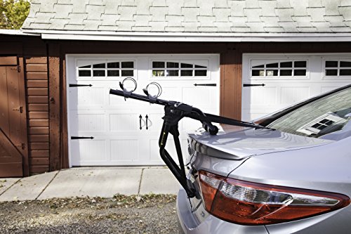 schwinn trunk rack 2