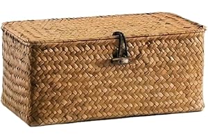Handwoven Storage Basket Creative Vintage Home Storage Box, Desktop Organizer (Medium)