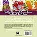 Ice Pop Joy: Organic, Healthy, Fresh, Delicious Recipe for Frozen Treats