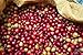 Paradise Mountain, Thailand Medium Roast, USDA Certified Organic, Direct Trade, Whole Bean Coffee 16 oz.