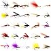 Croch 60pcs Fly Fishing Dry Flies Wet Flies Assortment Kit with Waterproof Fly Box for Trout Fishing