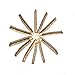 TropicaZona Branch & Twig Assorted Colored, Approx. 5 Inches Long, 12-Pack, Decorative, Novelty Gift Product
