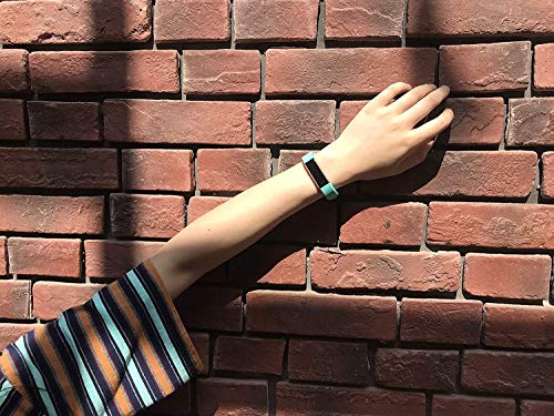 5 Fundro+Replacement+Compatible+Wristband+Buckle%25EF%25BC%258810