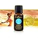 Citrus Blitz Oil - Invigorating Blend, 100% Pure Essential Oils - Sweet Wild Orange, Lemon, Lime and White Grapefruit (15 mL)