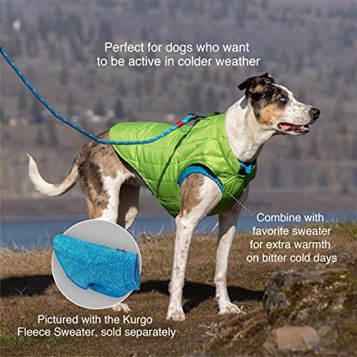 Kurgo Loft Dog Jacket, Reversible Winter Coat for Dogs, Reflective