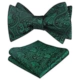 Alizeal Men's Paisley Jacquard Tuxedo Self Bow Tie