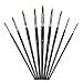 Amagic 9Pcs Pointed Round Art Paintbrush Set with Storage Container - Anti-Shedding Synthetic Nylon with Long Handle - Detail Paint Brush for Watercolor, Acrylics, Ink, Gouache, Oil, Tempera