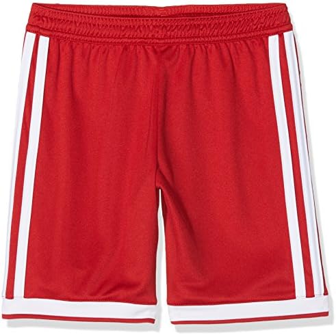 adidas heren Korte Sportbroeken | KLEDING.nl