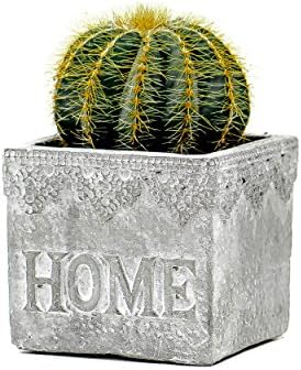 Succulent Planter / Cactus Planter. 3.25 Inch Gray Cement Flower Pot Container Stamped with 'Home' - by TERRARIUMS FOR SALE