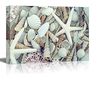 Canvas Prints Wall Art - Still Life Bunch of Seashells and Starfish | Modern Wall Decor/Home Decoration Stretched Gallery Canvas Wrap Giclee Print & Ready to Hang - 12" x 18"