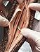 Alaska Red Dried Sea Cucumber-natural Sun Dried(Large)1lb, Grade AAA