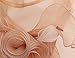 SAFERIN Women's Organza Church Kentucky Derby Hat Feather Veil Fascinator Bridal Tea Party Wedding Hat (SF4-Champagne)