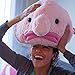 Hashtag Collectibles Stuffed Blobfish Plush