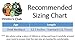 Baltic Amber Teething Necklace (Unisex - Multicolor - 12.5 Inches) Gift Set + FREE Silicone Teething Pendant ($15 Value) Handcrafted, 100% USA Lab-Tested Authentic Amber - Natural Teething Pain Relief