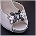 Douqu Fashion Rhinestones Crystal Shoe Clips Wedding Party Shoe Buckle Accessories Shoes Decoration for Women-2Pcs (Black)