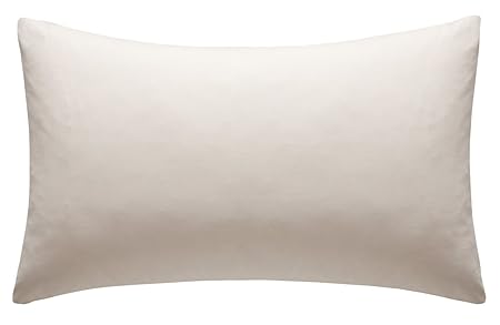 Rpt Extra Large 100 Egyptian Cotton Housewife Pillow Cases 22