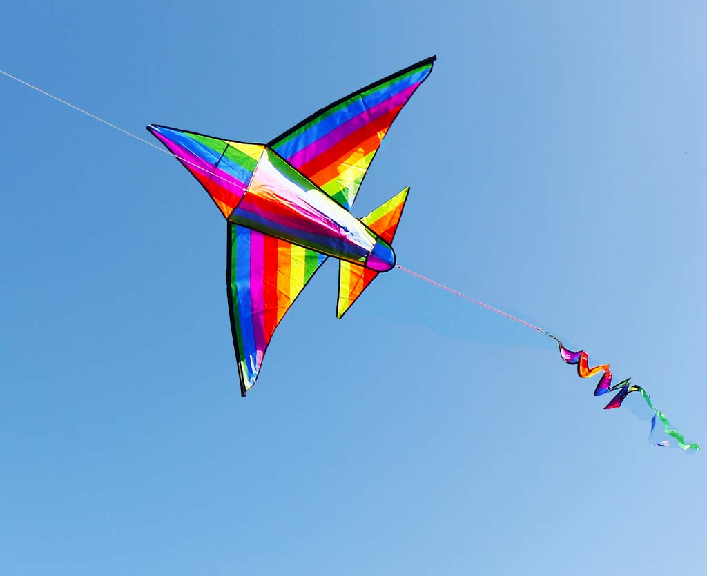 Zhuoyue Airplane Kite for Kids Adults 60 inch Wide Large 3D Kites Nylon