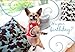 Leanin' Tree Dog Greeting Cards - shinepetphotos by Grace Chon - 20 Greeting Cards with Full-color Interiors and Designed Envelopes