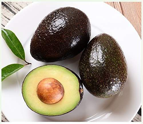Avocado Seeds for Planting, Easy to Grow Green Fruit Seed DIY Garden Bonsai Gift 10pcs