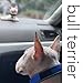 DomeStar Cute Dog Door Stopper, Decorative Bull Terrier Door Stop Decorative Animal Doorstop Style Door Wedge for Home Classroom and Office Bottom of Door Prevent