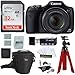 Canon PowerShot SX530 HS, 32GB Memory Card,Tripod,Ritz Gear Bag + Accessories Bundle