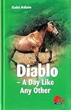 "Diablo A Day Like Any Other" av Gabi Adam