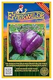 Everwilde Farms - 25 Purple Beauty Sweet Pepper