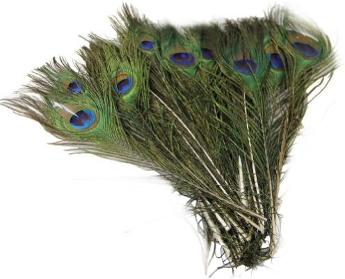 Auped 50pcs Beautiful Natural Peacock Tail Feathers About 10-12inch For DIY Decoration
