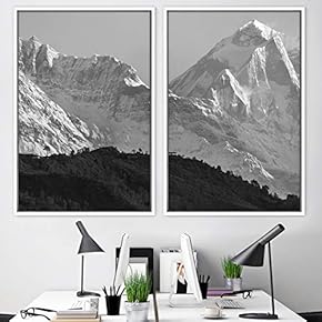 signwin 2 Piece Framed Canvas Wall Art Black...