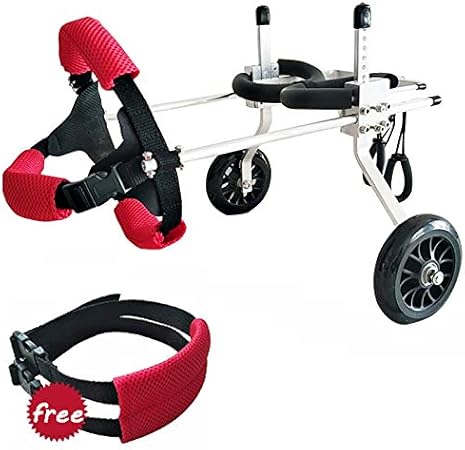 sedie a rotelle per cani per le zampe posteriori