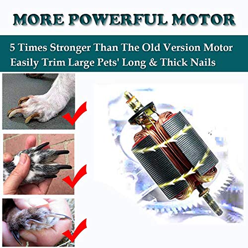 1 WWVVPET+Upgraded+Powerful+Electric+Rechargeable