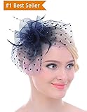 Merya Dress DotVeil Kentucky Derby Fascinator Hats Feather Prom Cocktail Tea Party Hats Navy