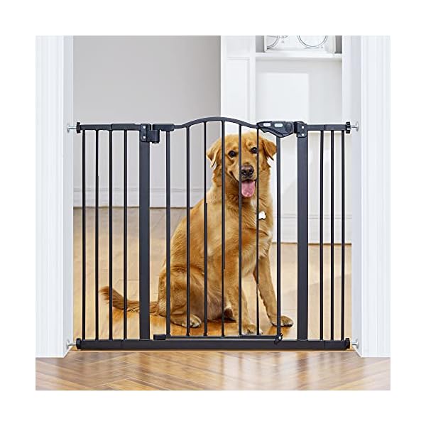 self closing pet gate