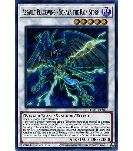 Amazon.com: YuGiOh 5D's Duelist Pack Crow Single Card Blackwing