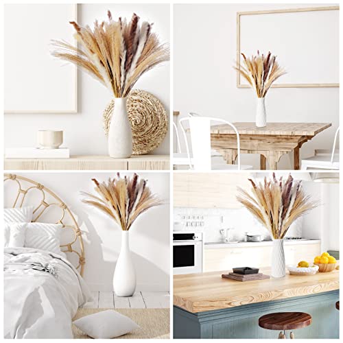 80Pcs+Vase Natural Dried Pampas Grass Decor, Fluffy Boho Decor Pompous