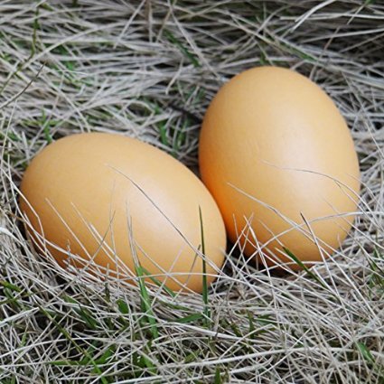 6Pcs Wooden Faux Fake Eggs,Easter Eggs,Children Play Kitchen Game Food Toy - Log Color