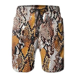 51rUY9Q%2BpYL. SS300