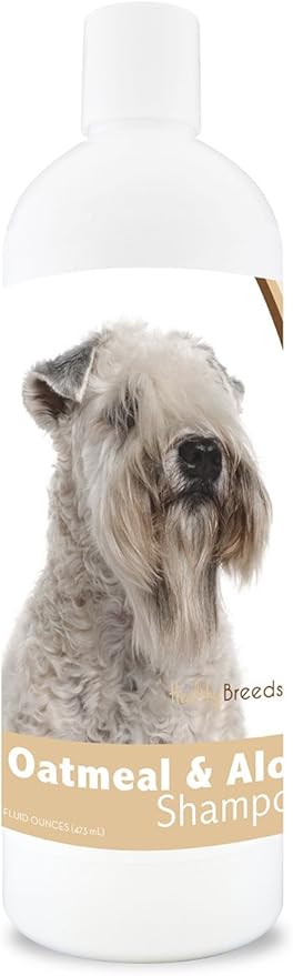 tibetan terrier kijiji