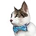 Blueberry Pet Gift Box with Pack of 2 Handmade Dog Cat Bow Tie, Go for Fun Designer Bowtie Set, 4