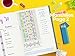 Bullet Planner by Scribbles That Matter - Undated (Ver 2019) - Pre-Printed Weekly, Monthly, Yearly Spreads - Habit Tracker - Get Your Life Organized and Productive Hassle-Free - B5 (Teal)