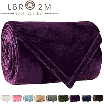 LBRO2M Fleece Bed Blanket King Size Super Soft Warm Fuzzy Velvet Plush Throw Lightweight Cozy Couch Blankets ((90x104 Inch) King, Purple)