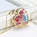 Usstore 1PC Women Dry Flower Heart Glass Wishing Necklace Bottle Pendants Partty Gift Alloy (C)