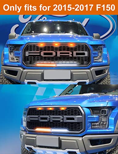 4 Raptor+innhom+Grille+2015+2017+Accent