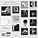 Modern Ballerina 2017 Wall Calendar