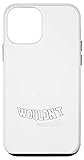 iPhone 12 mini It's a STEINBERG Thing Gifts Case