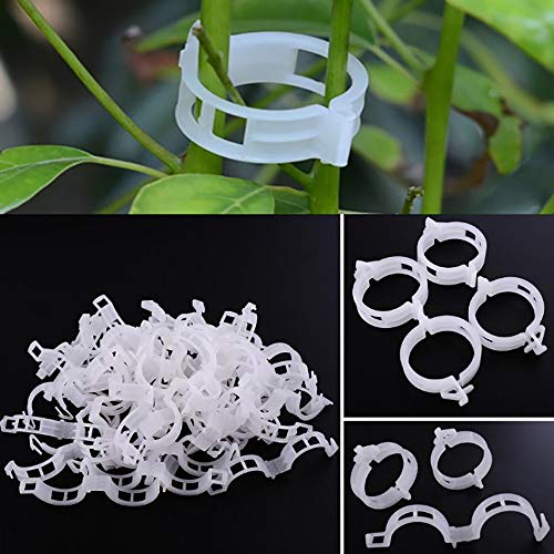 Winmany 100PCS Plant Support Garden Clips Tomato Clips Supports/Connects Plants/Twine/Vines Trellis/Cages Plant Vine Vegetable Fastening Clip Grafting Tools Make Plant Grow Upright and Healthier